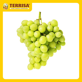 Nho Nam Phi Sweet Globe