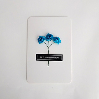 Thiệp hoa nền trắng - Postcard, hoa thật ép khô