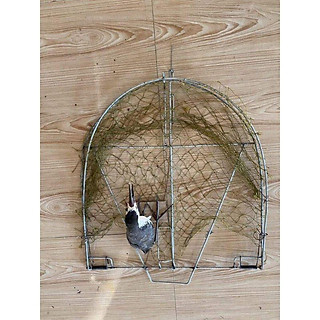 Mẹt bẫy chim bìm bịp giá siêu sốc