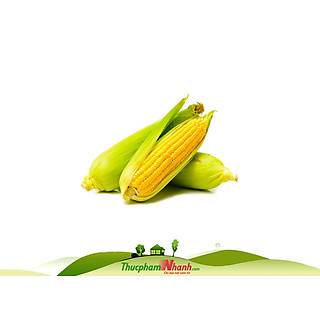Trái Bắp Mỹ - 1kg