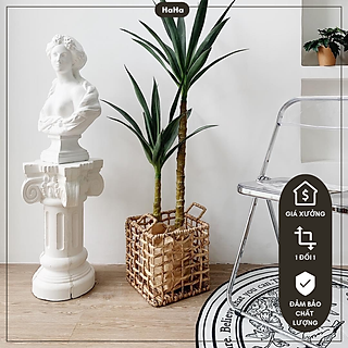 Giỏ Lục Bình Vuông DECOR Cây Cảnh Giỏ đựng đồ đa năng GLB02 nhiều kích thước