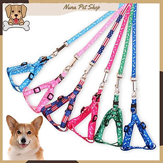 Dây dắt chó mèo đi dạo kèm yếm 2 lớp xinh xắn