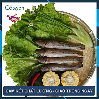Cá bống cát làm sạch - CKFoods - 300 g
