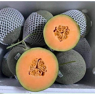 Dưa Lưới Mật E-Garden (Trái 02kg - 2.2kg)