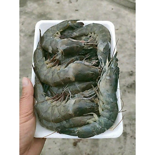 1kg Tôm lột tươi cấp đông size 35-38c (giao tphcm)