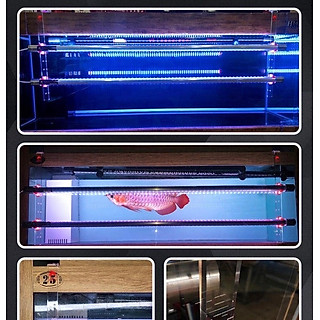 BAT (KẸP ĐÈN) AEROFIN TANNING CÁ RỒNG !!!!