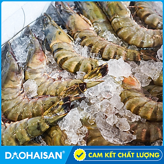 Tôm Sú Biển Size 8-10 Khay 500g
