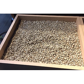 Cà phê hạt Moka Cầu đất nhân sống chưa rang - 1kg