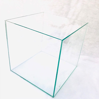 Bể cá mini Bể cá mini cubic