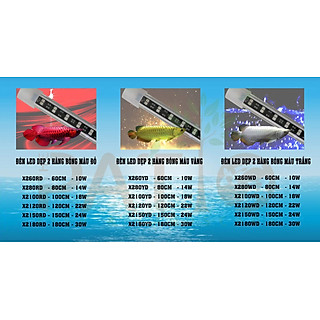 Đèn Led XML Chuyên Dụng Cho Cá Rồng - Led Xuanmeilong Phiên Bản Thủy Tinh Limited