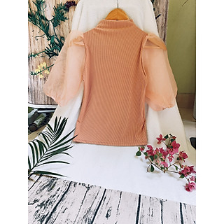 Áo thun gân cổ lọ tay voan kiếng