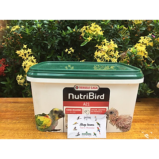 Bột A21, A19 Nutri Bird dinh dưỡng cho chim non
