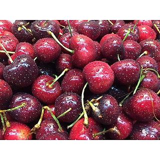 Cherry Canada Size 10 - 1kg