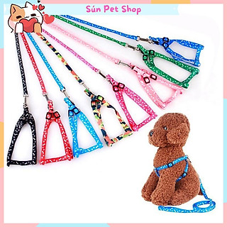Dây dắt chó mèo đi dạo kèm yếm 2 lớp xinh xắn