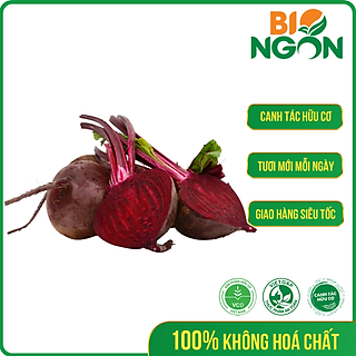 Củ Dền (350-400g/củ)