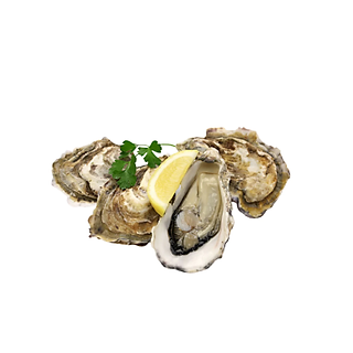 Hàu Nhật Hyogo nguyên vỏ cỡ 3L (1kg)