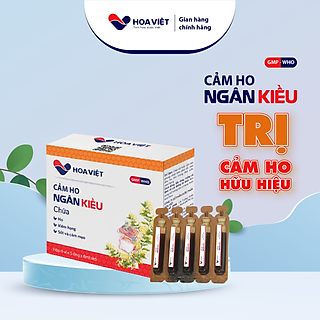Siro ho thảo dược Ngân Kiều Hoa Việt tăng cường sức đề kháng, hỗ trợ giảm ho hiệu quả 20 ống