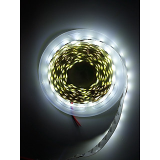 Đèn led dán 5m 12v dùng trang trí
