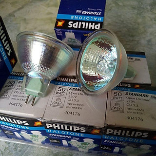 BÓNG ĐÈN 220V 50W DÙNG CHO ĐÈN LỬA GIẢ - ĐÈN CHẢO LỬA
