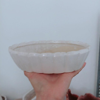 Chậu Trồng Cây Tiểu Cảnh