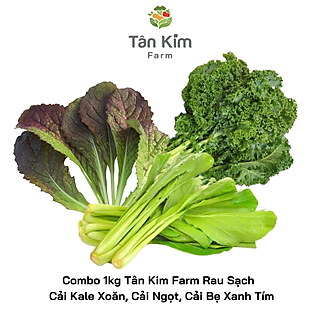 Combo 1kg Rau Sạch Cải Kale Xoăn, Cải Ngọt Cải Bẹ Xanh Tím Tân Kim Farm