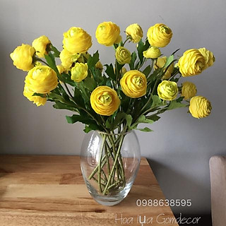 Bình chum thủy tinh