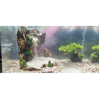 thác cát bể cá cảnh- thác cát hồ thủy sinh