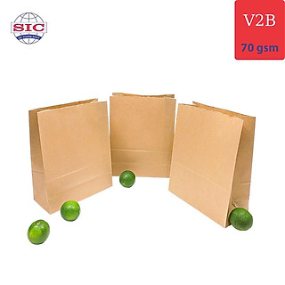 100 CHIẾC TÚI GIẤY KRAFT V2B: 19.5x10x25.3 KHÔNG QUAI ( ẢNH THẬT)