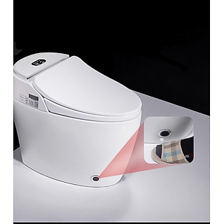 BỒN CẦU THÔNG MINH  CN- 2019