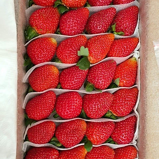 DÂU TÂY GIỐNG MỸ SIZE LỚN (Hộp)