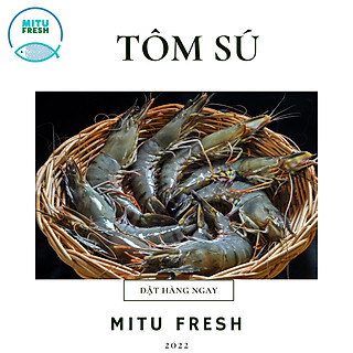 Tôm sú ngộp (size 45-50 con/kg)