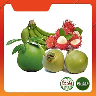 Combo Trái Cây 3 (1kg Chôm Chôm + 2 quả Dừa + 1 nải Chuối + 1 quả Bưởi)