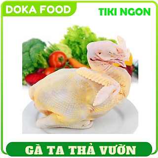 Gà Ta Bến Tre Thả Vườn Bao Ngon Nguyên Con Từ 1kg Đến 1,2kg trở lên dai và ngọt từng xớ thịt của loại gà nuôi gia đình miền thôn quê
