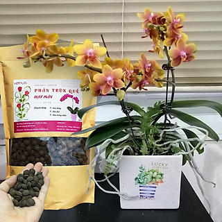 Phân Trùn Quế Hạt Mận Vernuts cho hoa lan và hoa hồng (túi 1kg)