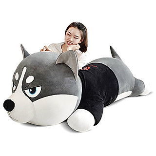 Gấu bông chó Husky size 80cm (cả duồi)