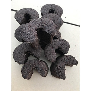 Mút ươm kie hữu cơ nhập khẩu Hà Lan ( combo 10 cái)