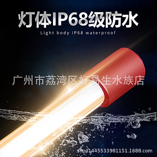 Đèn Mayin T5  (13000k, 6700k, 2700k) Tanning cá rồng cho bối, huyết long