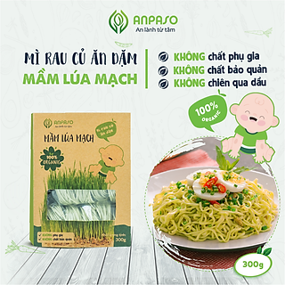 Mì Rau Củ Ăn Dặm Vị Mầm Lúa Mạch Organic Anpaso 300g