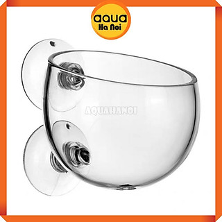 Cốc trồng cây thủy sinh trang trí hồ cá - Cốc thủy tinh Polka đựng phân nền - Tặng kèm cục hít thành hồ