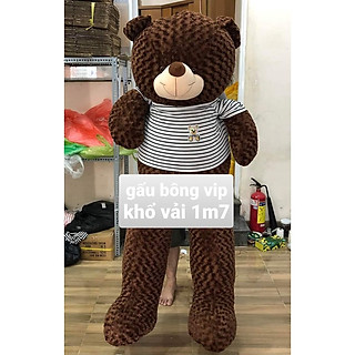Thú nhồi bông Teddy mặc áo cute - Size từ 1m đến 1m7 - Quà tặng gấu bông teddy khủng lồ lông hoa cao cấp