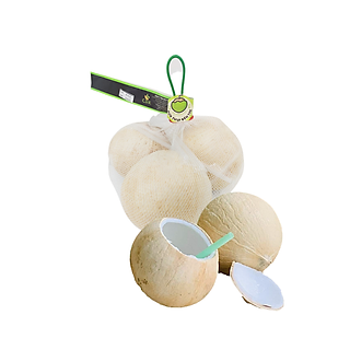 Dừa Dứa tươi lốc 3 trái (túi)