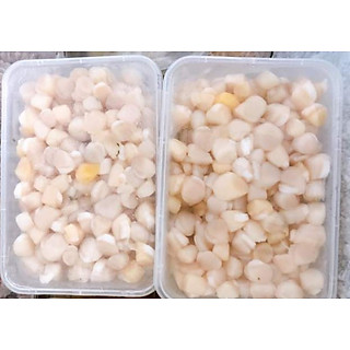 Cồi Sò Điệp Việt Nam