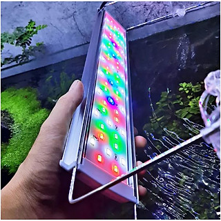 Đèn LED thủy sinh COCO WRGB R600