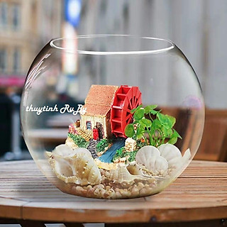 Bể Cá Thủy Tinh Để Bàn, Hồ Cá Mini T11, Chậu Cây Thủy Sinh, Chậu Cây Cảnh