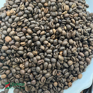 Cà Phê Culi Robusta Natural S18 Nguyên Chất Rang Mộc - ZeMor Coffee