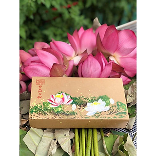 Trà thảo mộc Mộc Truly, Mộc Liên Trà, Trà Hoàng Cung 10 vị thơm ngon, sen Huế