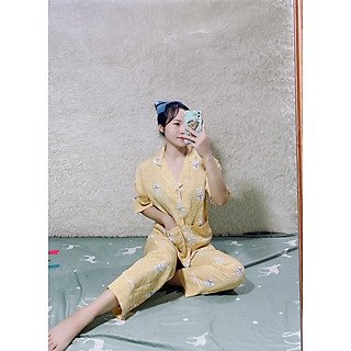 Đồ Bộ Mặc Nhà Pijama Nữ Dài Tay (Giá siêu rẻ, bán giá sỉ)