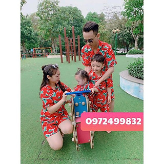 bộ đi biển hoa quả chất kate thái ( hàng đẹp nhất )