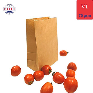100 CHIẾC TÚI GIẤY KRAFT V1: 15.5x9x25 KHÔNG QUAI ( ẢNH THẬT)