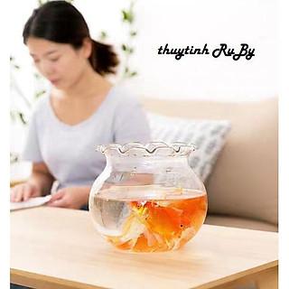 Hồ Bể Cá Mini Thủy Tinh Để Bàn, Chậu Cây Thủy Sinh Bèo B2